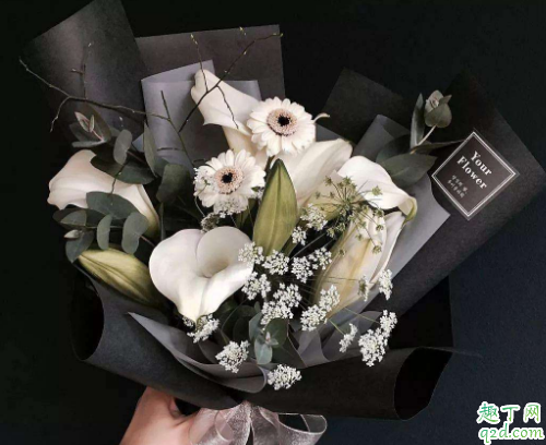 清明节上坟送几朵花 清明节上坟送花是单数还是双数