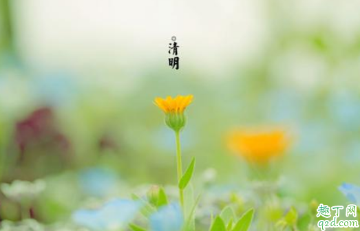 清明节上坟祭品要肉吗 清明节的祭品有哪些