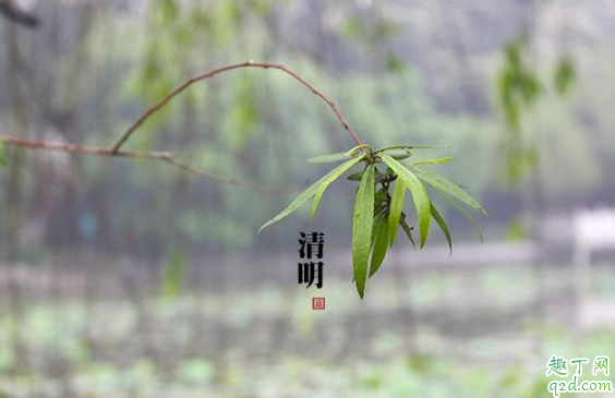 清明节上坟可以下午去吗 清明节下午可以扫墓吗