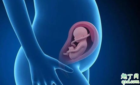宝宝在肚子里张嘴会喝羊水吗 胎儿喝羊水会导致腹围增大吗
