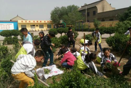大中小学将设劳动必修课是真的吗 劳动必修课怎么上
