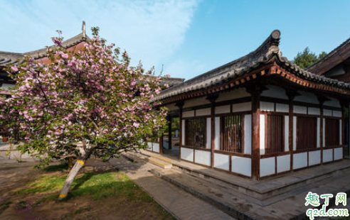 西安青龙寺值得去吗 西安青龙寺赏樱攻略2020