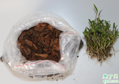 生根粉直接撒在根部能活吗 生根粉直接浇土里能不能行