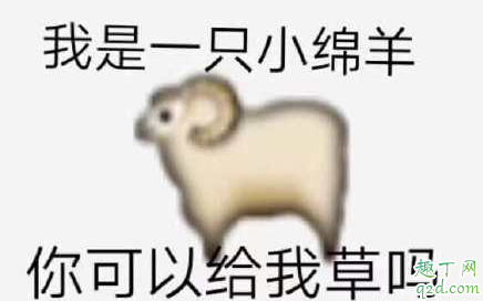 ghs什么意思,这个梗被网友玩坏了!