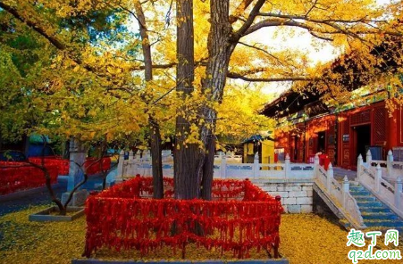2020疫情期间红螺寺开门吗 红螺寺现在可以去了吗
