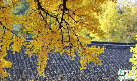 红螺寺适合情侣一起去吗 情侣去红螺寺会分手吗