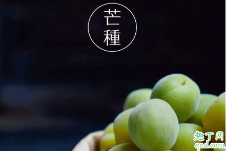 芒种为什么吃梅子 关键在于它的这个功效
