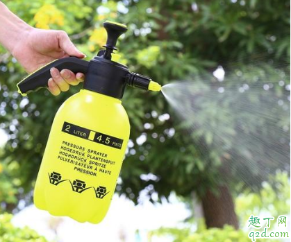 水中加入哪些物质可以为鲜花保鲜？这些一定要知道