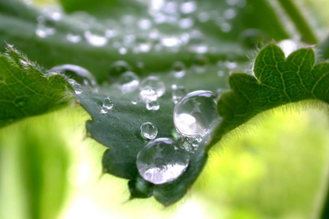 2021年梅雨期是什么时候 2021梅雨是几月份