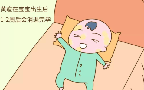 怀孕吃橘子芒果多宝宝会黄疸？专家：完全两码事！