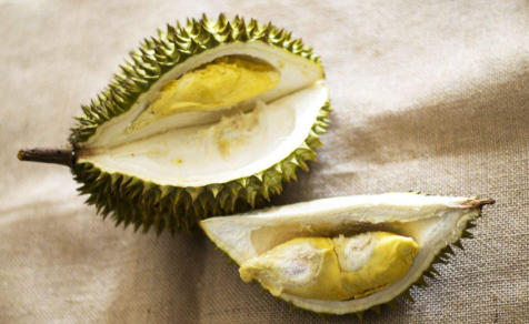 来事的时候可以吃榴莲么？可以吃但要适量