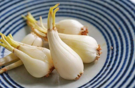腌藠头要不要放水