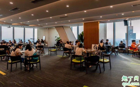 如果公司可以提供创业机会，你会如何选择？