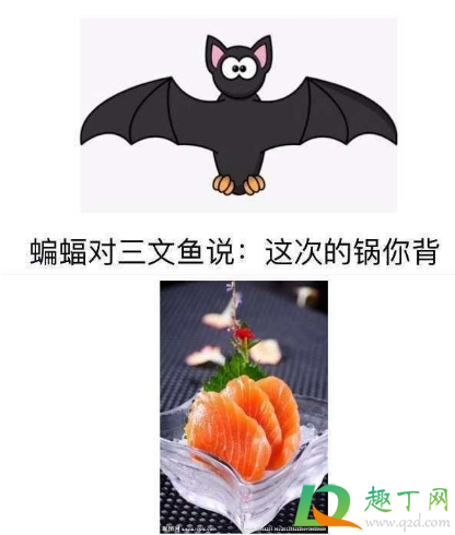 新冠病毒传染源是三文鱼吗-三文鱼新冠病毒存活时间