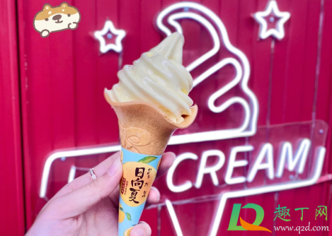 KFC日向夏柑橘冰淇淋花筒什么味道好吃吗-肯德基日向夏柑橘花筒价格