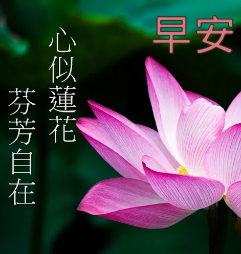 早上好图片新版2021动态图片问候-早上好图片微信表情动画