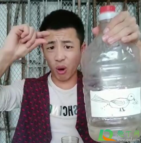 小鸟伏特加什么意思-小鸟伏特加怎么回复