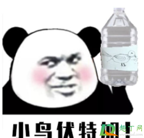 小鸟伏特加什么意思-小鸟伏特加怎么回复