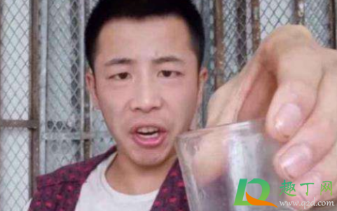 小鸟伏特加什么意思-小鸟伏特加怎么回复