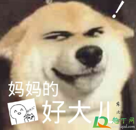 妈妈的好大儿什么梗-妈妈的好大儿什么意思