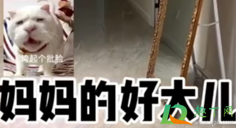 妈妈的好大儿什么梗-妈妈的好大儿什么意思
