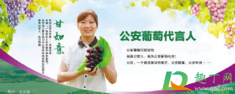 甘如意有男朋友吗-甘如意事迹简介