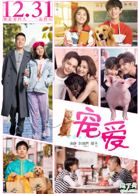 电影宠爱好不好看-宠爱什么时候播出