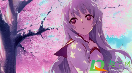 樱花动漫怎么看不了了-樱花动漫播放白屏怎么回事