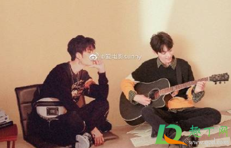王八到处爬是什么梗-王八到处爬什么意思