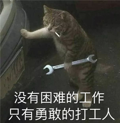 打工人表情包带字无水印-打工人梗为什么火了