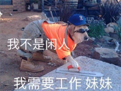 打工人表情包带字无水印-打工人梗为什么火了