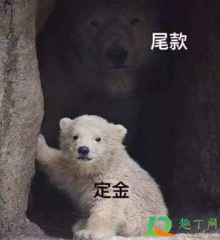 加油尾款人什么梗-加油尾款人的出处