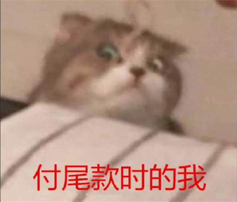加油尾款人表情包-加油尾款人朋友圈说说文案搞笑