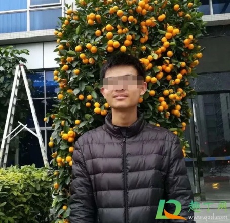 江苏大学杨凯死亡原因确定了吗-江苏大学杨凯坠楼事件真相
