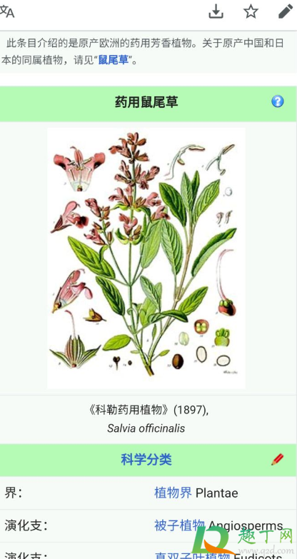 耗子的尾巴能榨汁吗-耗子尾巴榨汁能喝吗