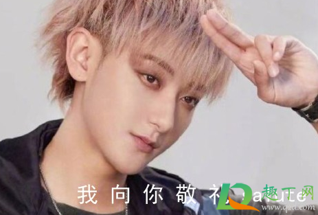 我向你敬礼salute什么梗-我向你敬礼salute什么意思