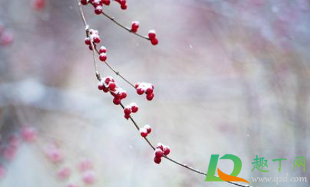 2020仲冬时节祝福语朋友圈怎么发-仲冬的句子短句唯美