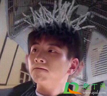 你得支棱起来啊什么梗出处哪-支棱起来什么意思网络用语