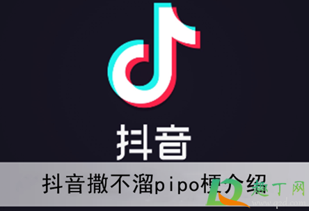 撒不溜pipo什么梗-热梗撒不溜pipo什么意思