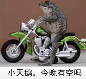 2021跨年夜有空吗天鹅表情包分享无水印-2021跨年夜有空吗表情包合集最新
