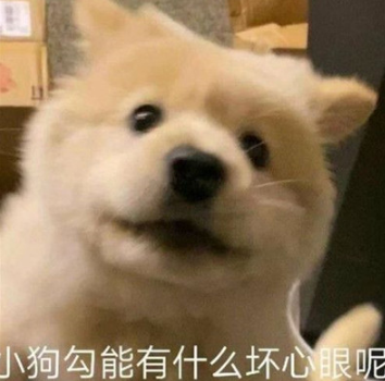 小狗勾能有什么坏心眼呢什么梗-小狗勾能有什么坏心眼呢表情包无水印