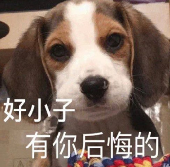 小狗勾能有什么坏心眼呢什么梗-小狗勾能有什么坏心眼呢表情包无水印