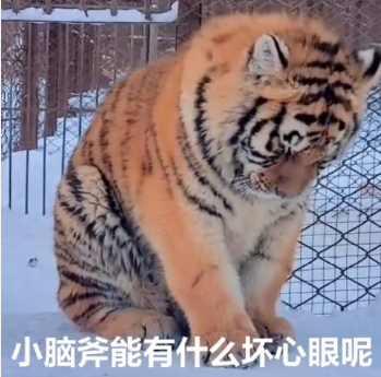 小狗勾能有什么坏心眼呢什么梗-小狗勾能有什么坏心眼呢表情包无水印