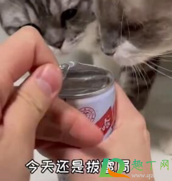 热梗拔雹局什么意思-抖音热梗拔雹局出自哪