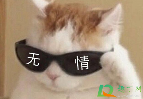 微信状态文案搞笑合集2021-微信状态个性说说搞笑精选