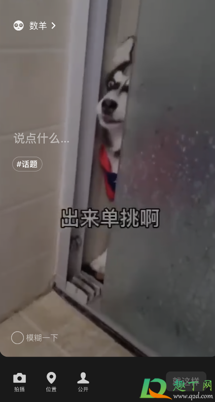 微信状态视频二哈怎么设置-微信状态视频二哈素材哪里有