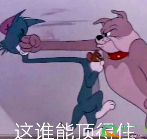 笋都被你夺完了啥梗什么意思-笋都被你夺完了出自哪