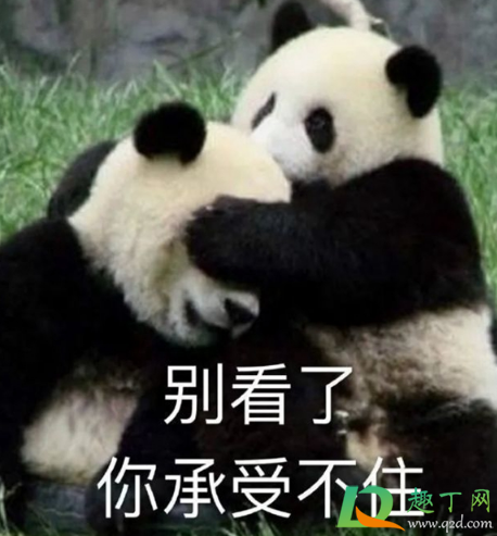 笋都被你夺完了啥梗什么意思-笋都被你夺完了出自哪