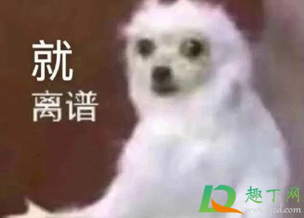 笑死根本就xxx啥梗什么意思-笑死根本就xxx出自哪