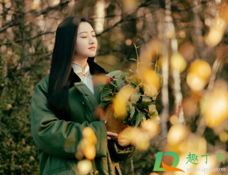 秦放为什么会有司藤的血-秦放是司藤的后代吗